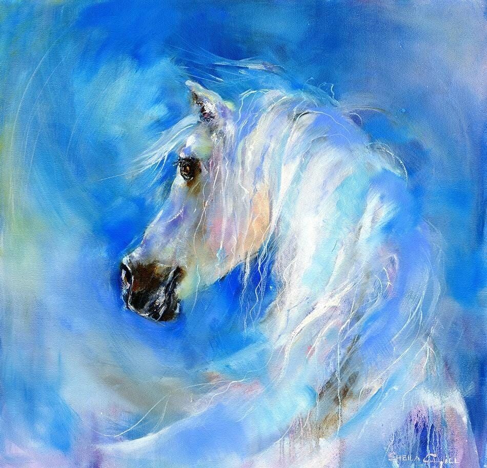 White Arabian Horse Art Print designed by artist Sheila Gill