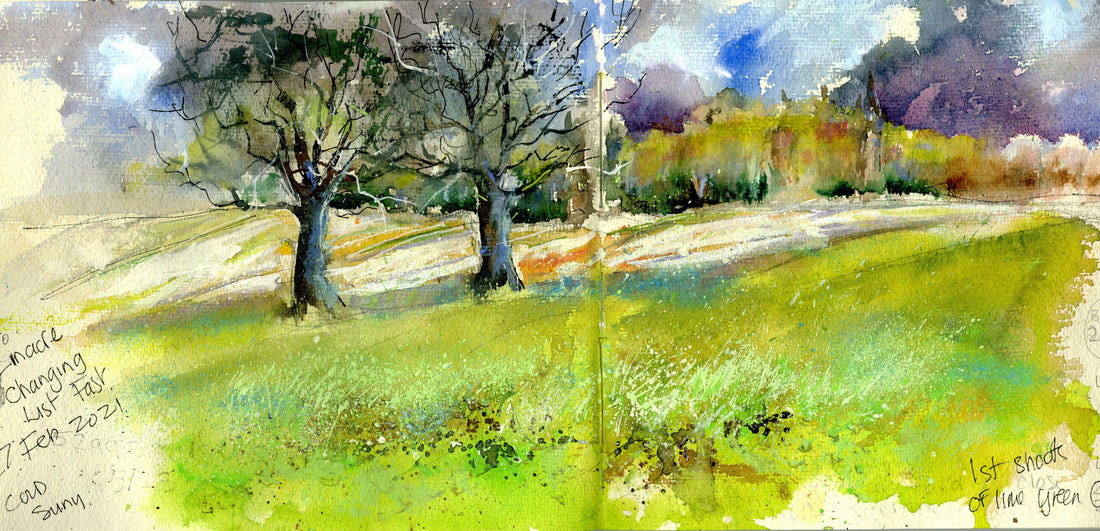 Snowy trees sketched in watercolour, Linacre Reservoir, Derbyshire