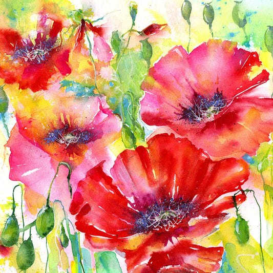 Watercolour poppy painting by Sheila Gill, a tribute for Remembrance Day