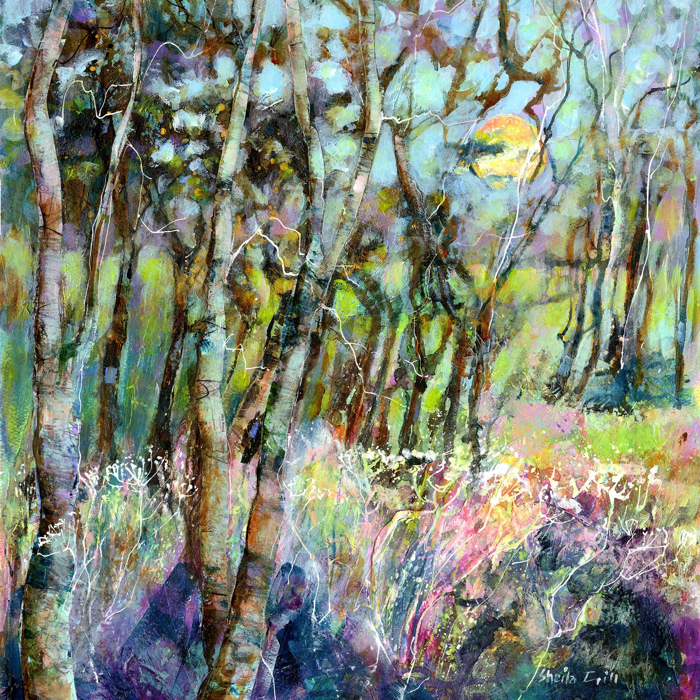 Beyond the Trees birch wood giclée art print by Sheila Gill