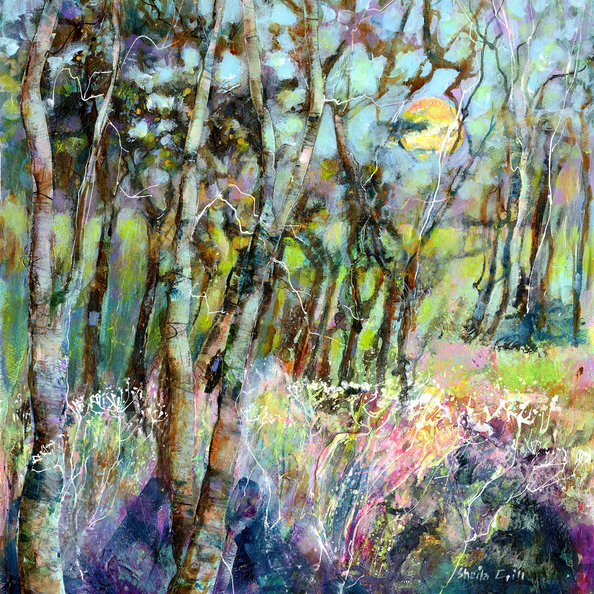 Beyond the Trees birch wood giclée art print by Sheila Gill