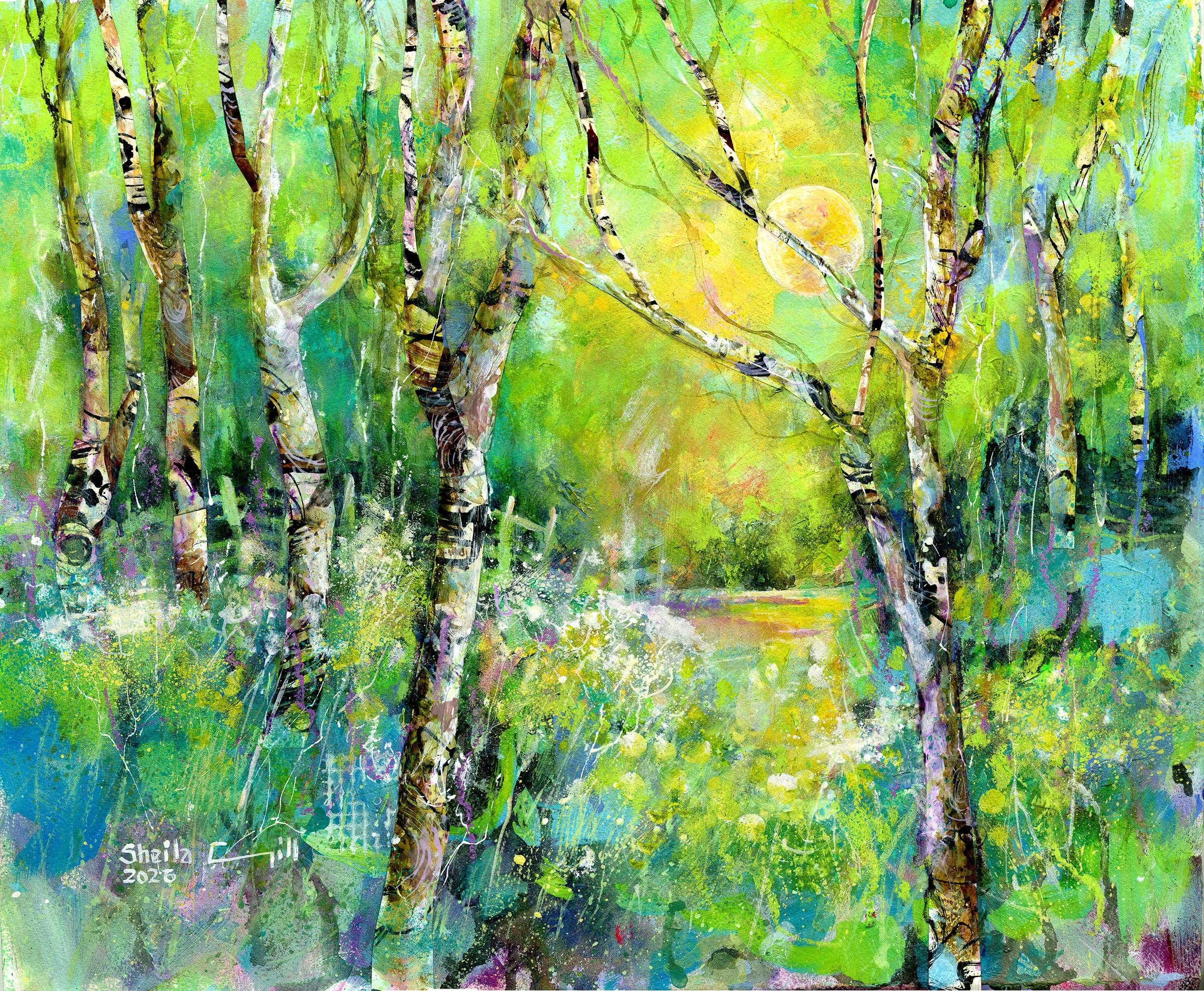 Birchwood Light - original mixed media painting of silver birch trees by artist Sheila Gill, Derbyshire