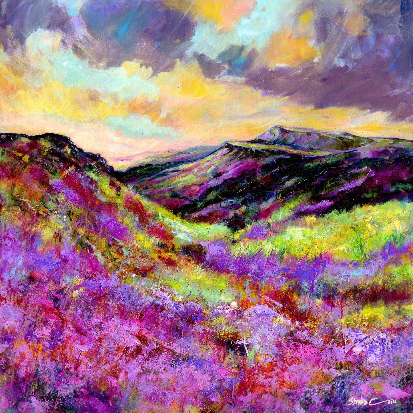 Glorious Heather, Watercolour Derbyshire landscape Peak District Art Print by artist Sheila Gill