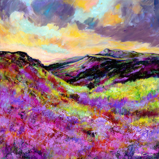 Glorious Heather, Watercolour Derbyshire landscape Peak District Art Print by artist Sheila Gill