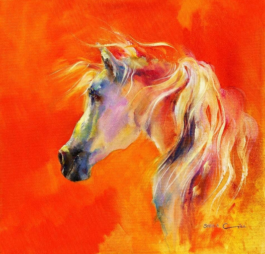 White Arabian Horse Art Print designed by artist Sheila Gill
